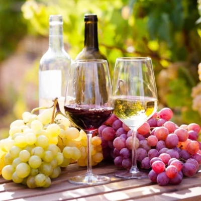 Verres de vin argentin rouge et blanc