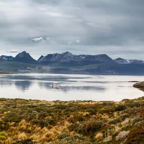 Baie du Canal de Beagle en Terre de Feu 