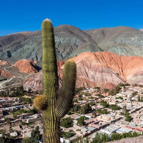 Vue sur les montagnes et un cactus de Humahuaca