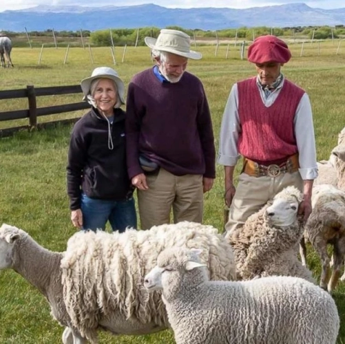 Trois éleveurs et leurs moutons dans une estancia