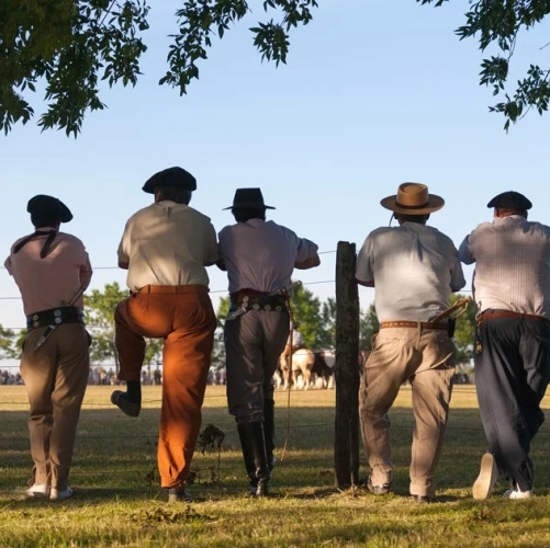 Cinq gauchos surveillant leurs moutons derrière la barrière dans la pampa