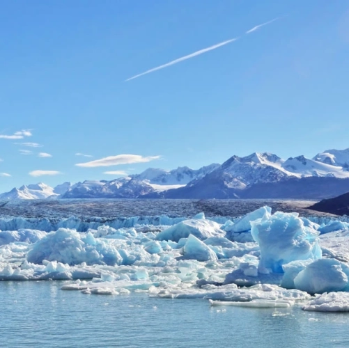 Icebergs du glacier Upsala sur le Lago Argentino