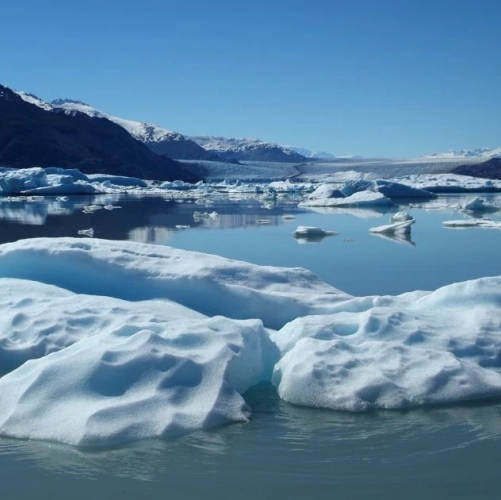 Icebergs flottants du glacier Upsala