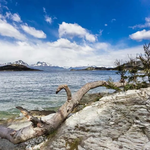 Vue sur un des lacs du Parc National de la Terre de Feu 