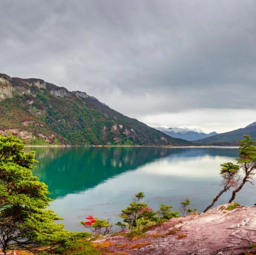 La nature colorée du Parc National de la Terre de Feu