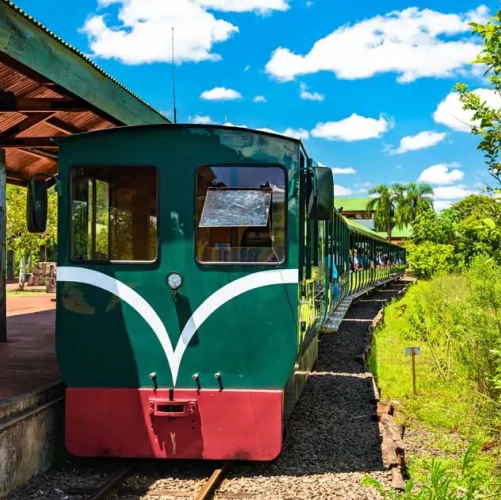 Le train écologique pour admirer les Chutes d'Iguazu 