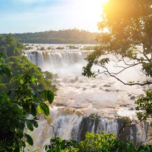 La végétation luxuriante des Chutes d'Iguazu côté argentin