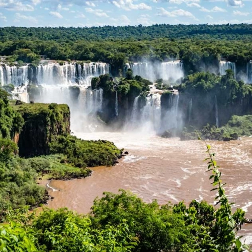 La dense végétation autour des chutes d'Iguazu