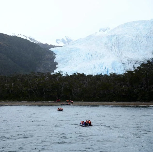 Zodiacs naviguant vers la forêt du glacier Aguila