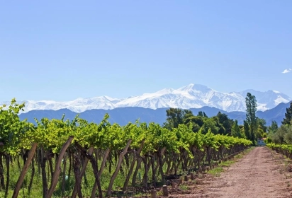 Sur la route des vins dans le Nord-Ouest andin