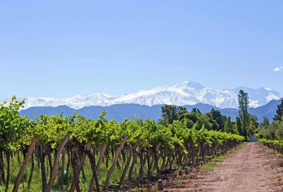Sur la route des vins dans le Nord-Ouest andin