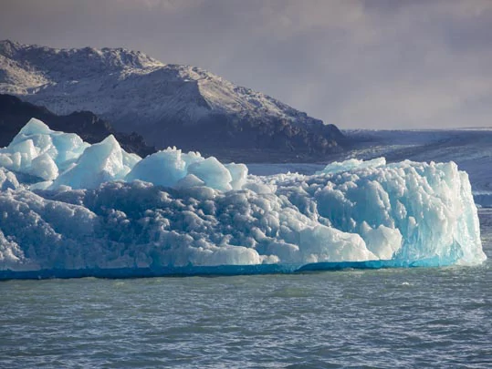 Iceberg et glaciers lors de la croisière sur le Lago Argentino