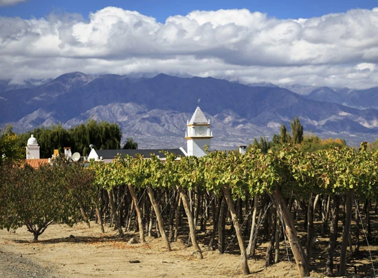 Vignes de Cafayate en Argentine, à proximité de l'église