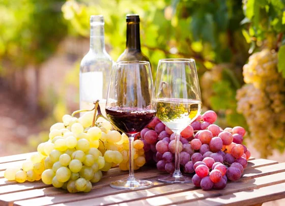Verres de vin argentin rouge et blanc 