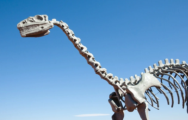 Réplique de squelette de dinosaure dans le parc national Talampaya en Argentine