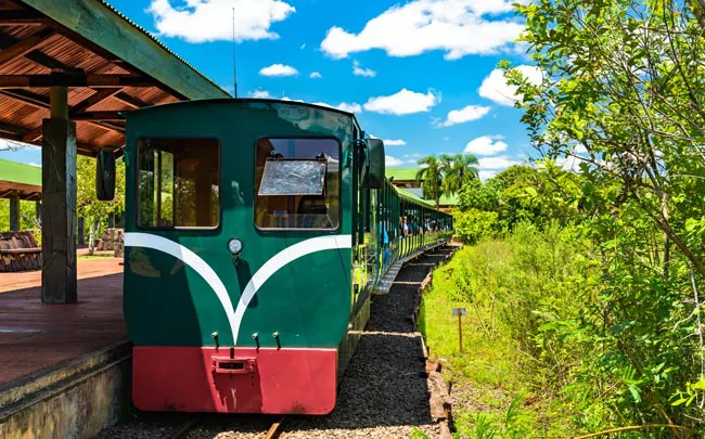 Train écologique de la forêt tropicale au Parc National d'Iguazu en Argentine