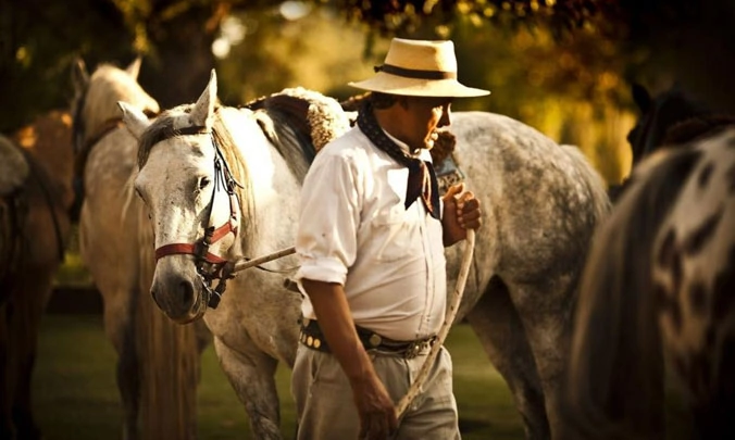 Un gaucho et ses chevaux dans l'estancia