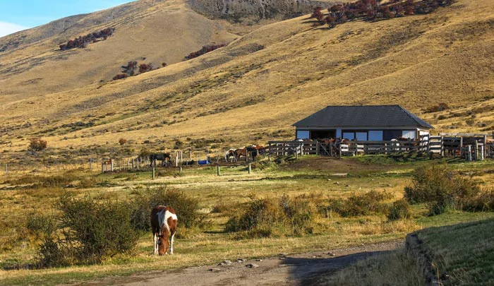 Un ranch de chevaux à proximité de El calafate en Argentine