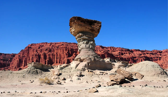 El Hongo, roche en forme de champignon dans le parc provincial Ischigualasto