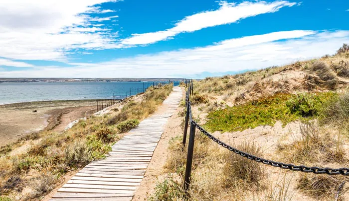 Sentier ensoleillé sur la plage de Puerto Madryn en Patagonie argentine