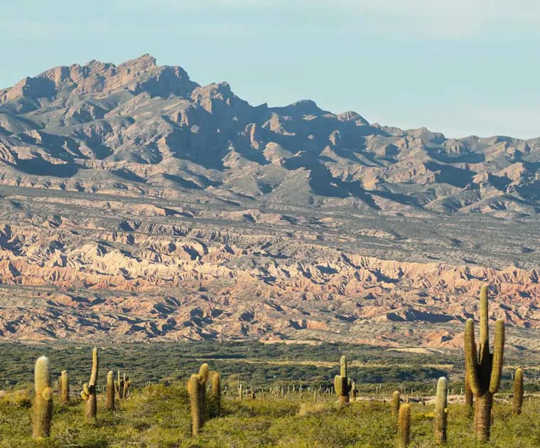 Vue sur les cactus et les montagnes du Parc National Los Cardones