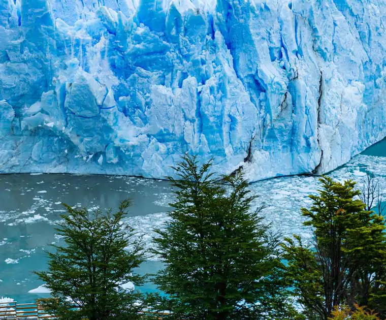 Contraste de couleurs entre les sapins verts et le bleu intense du Perito Moreno