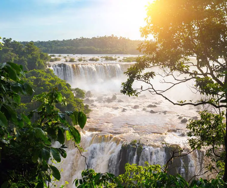 La végétation luxuriante des Chutes d'Iguazu 