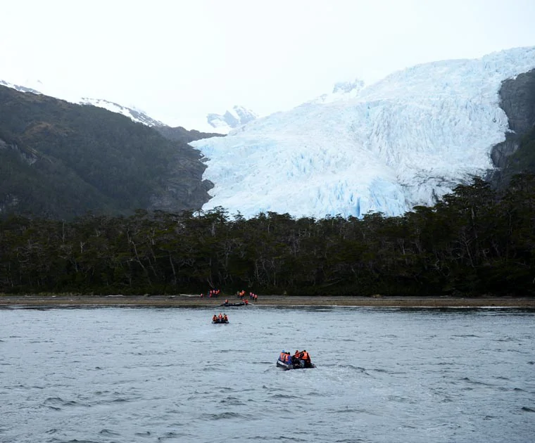 Zodiacs naviguant vers la forêt du glacier Aguila