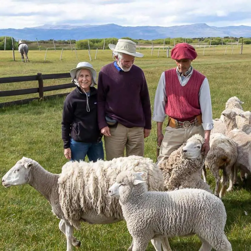 Fermiers et moutons de l'estancia el Galpon del Glaciar 