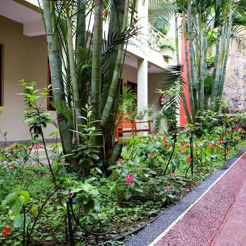La végétation de l’hotel Jardin de Iguazu à Puerto Iguazu en Argentine