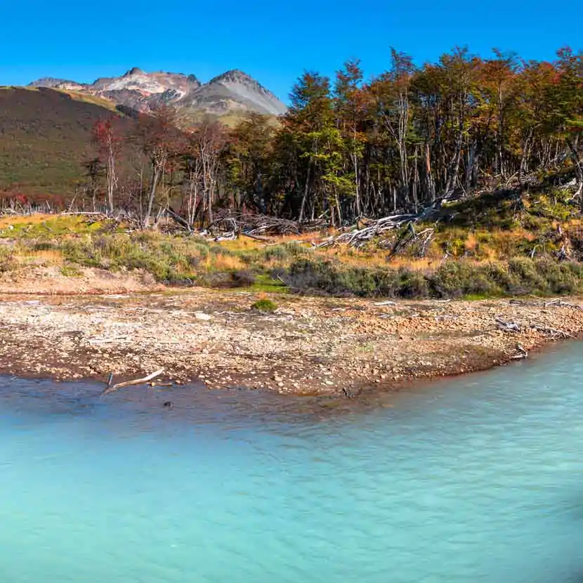 Paysage panoramique du parc national de la Terre de Feu en Argentine