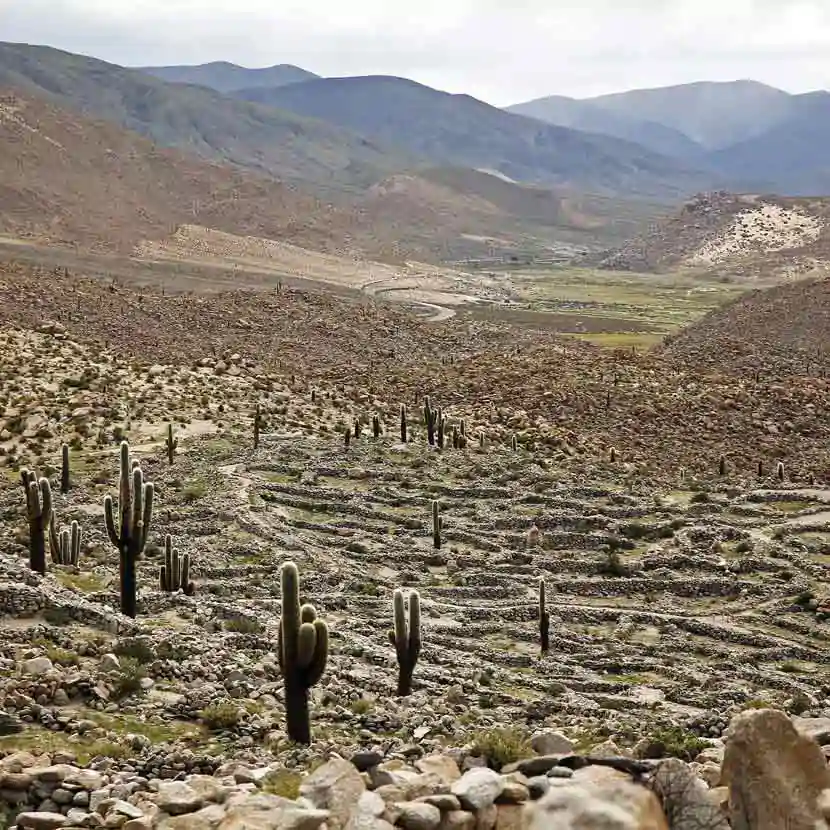 Ruines précolombiennes de Tastil dans la Puna argentine