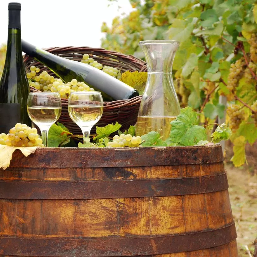 Verres et bouteilles de vin blanc posés sur un tonneau dans un vignoble argentin