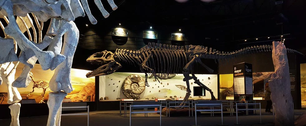 Dinosaures et paléotonlogie au Musée Edigio Feruglio 